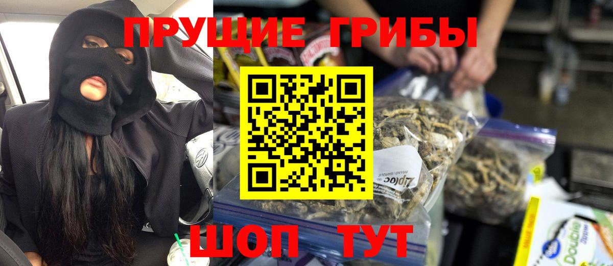 Рубцовск  Псилоцибиновые грибы Cubensis  Псилоцибиновые грибы Psilocybine cubensis  Вход с VPN 